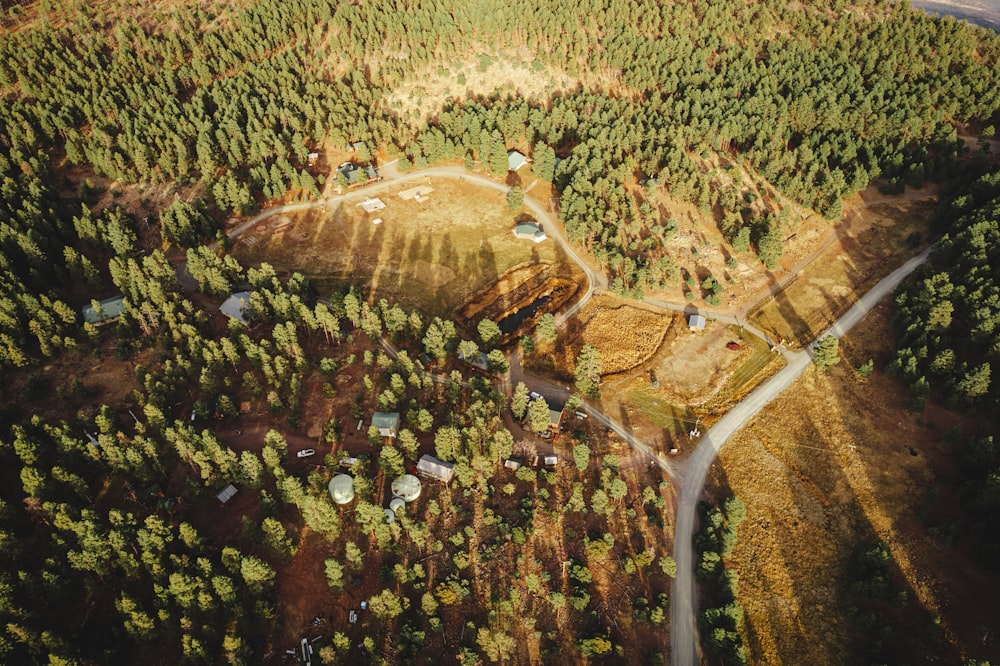 an aerial view of a forest with lots of trees