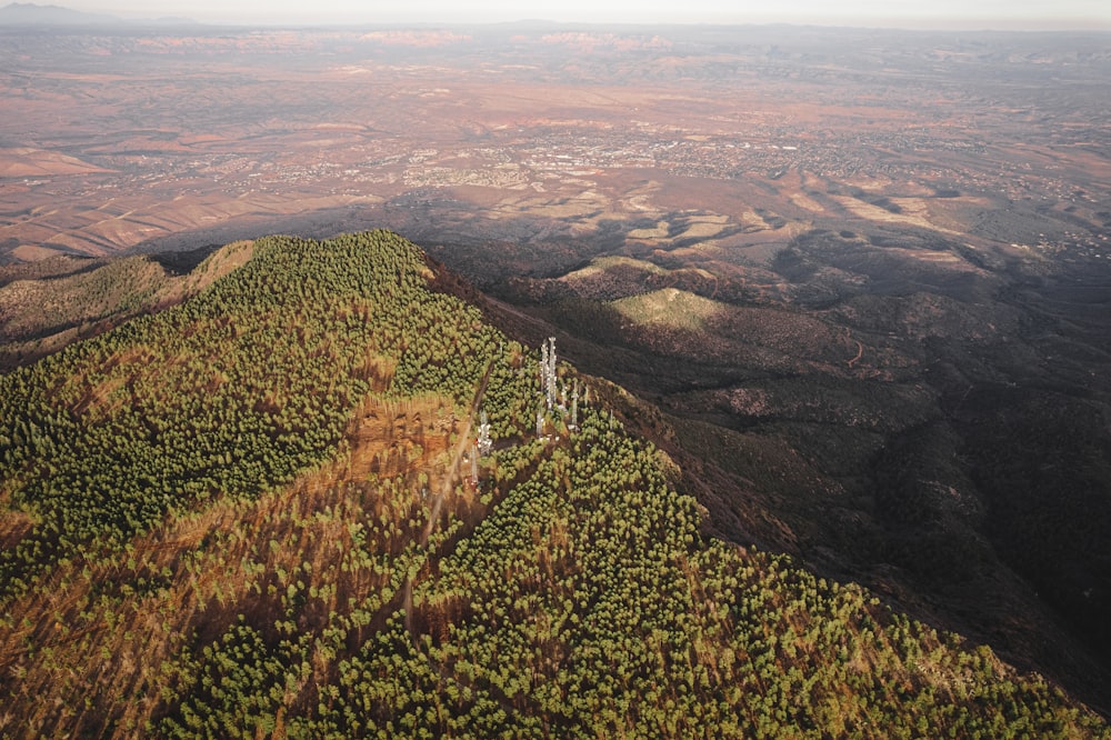 an aerial view of a forest and mountains