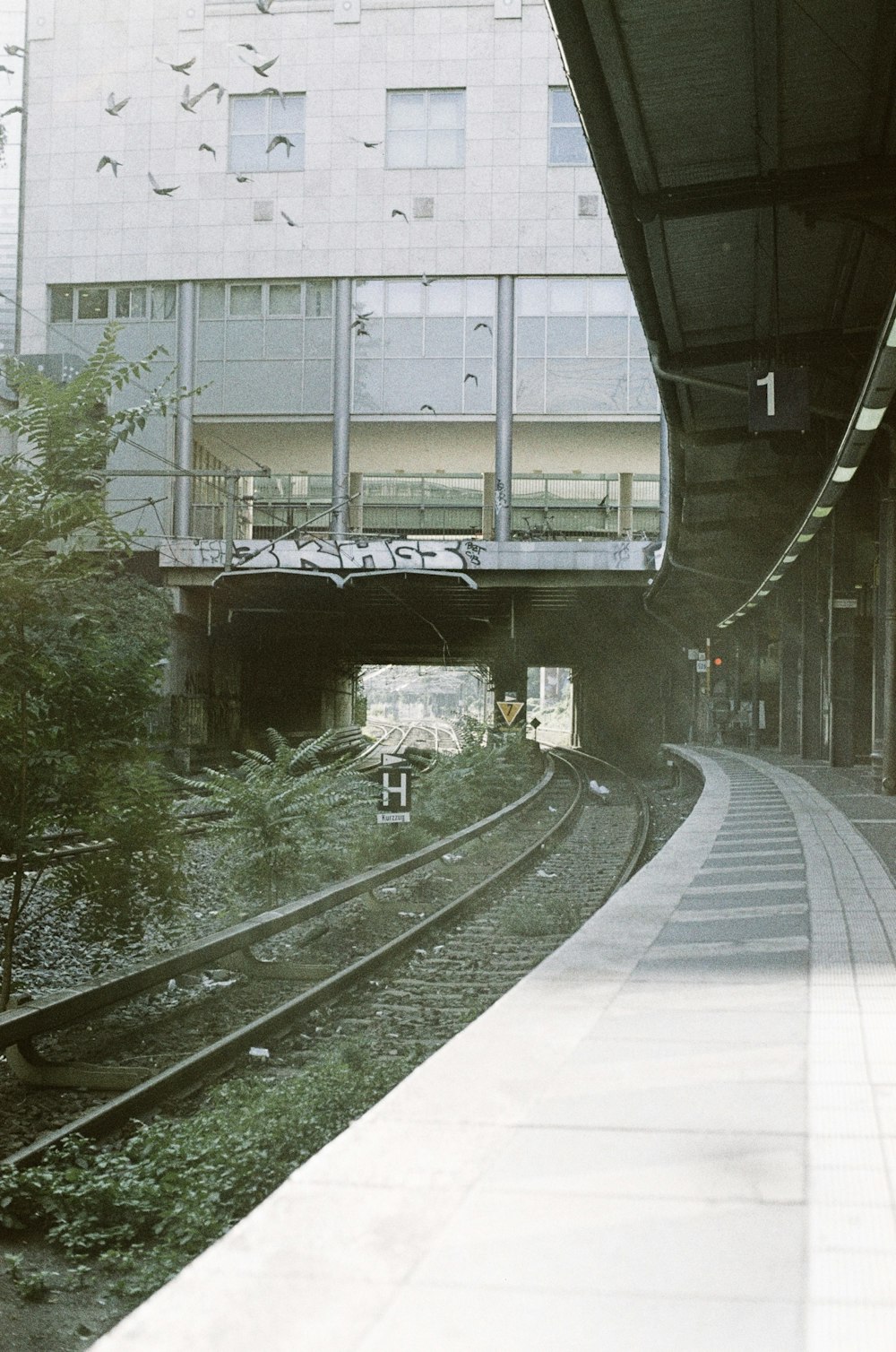 uma estação de trem com um trem nos trilhos