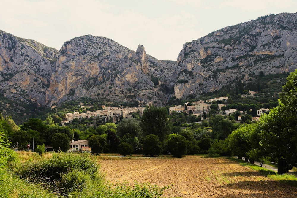 a field in front of a mountain range