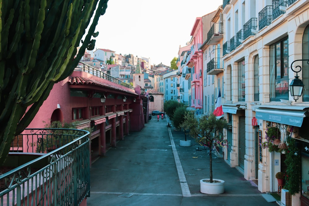 a street lined with tall buildings next to a cactus