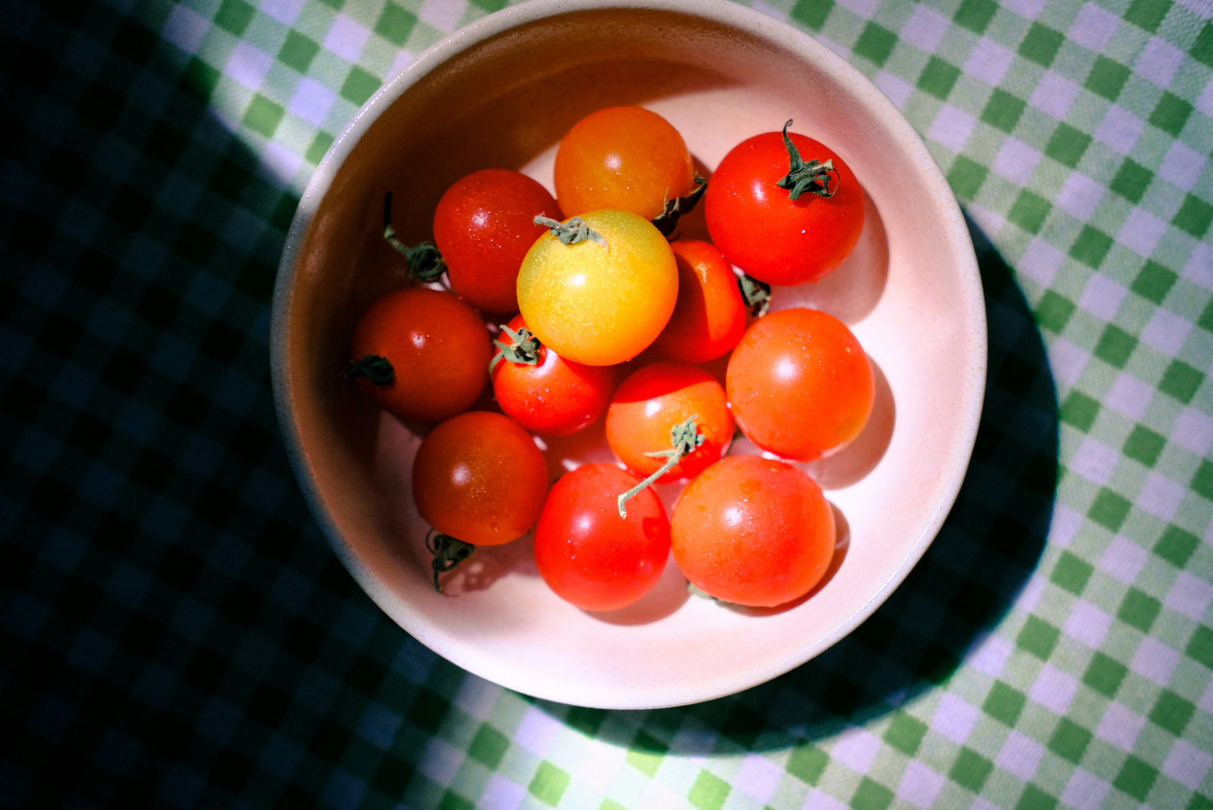 Ripe Roma tomatoes and fresh basil leaves - bruschetta tomato mozzarella