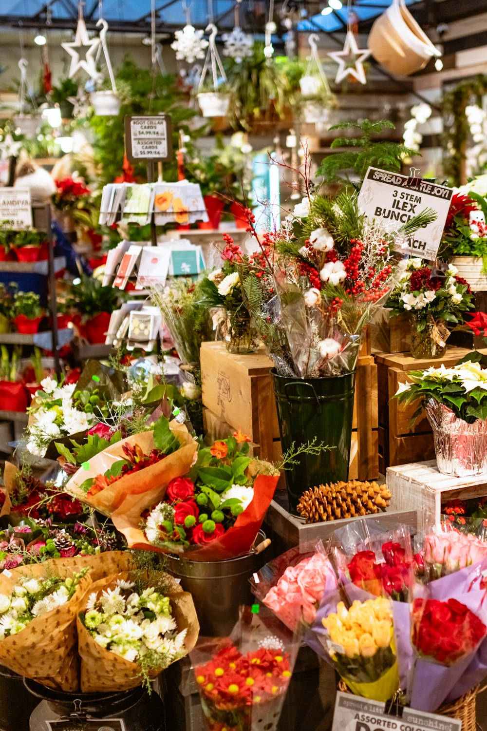 a store filled with lots of different types of flowers