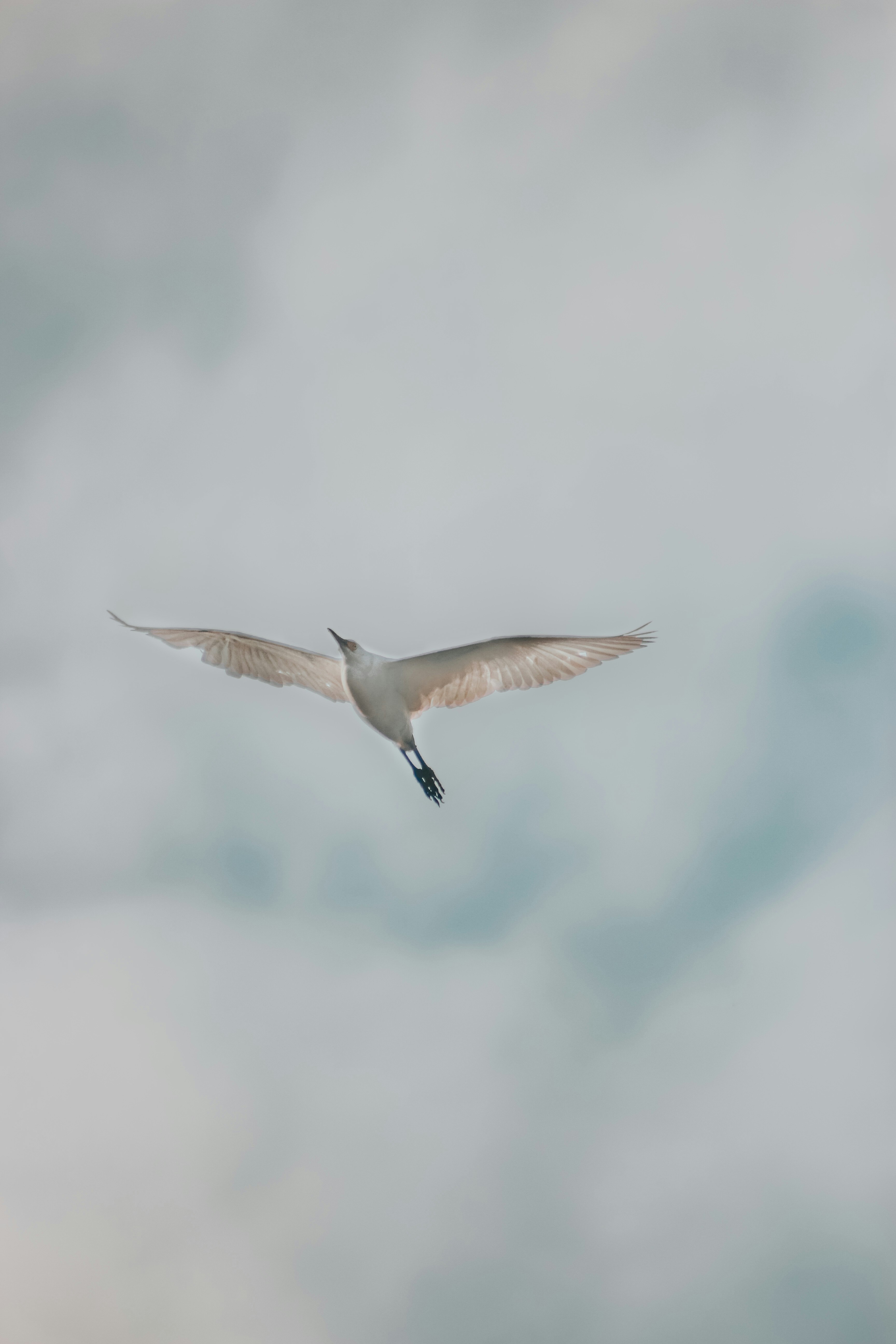 Photo by hamzazulfiqar