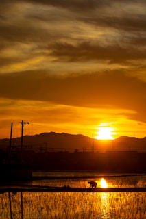 A farmer working diligently in the fields during sunset.