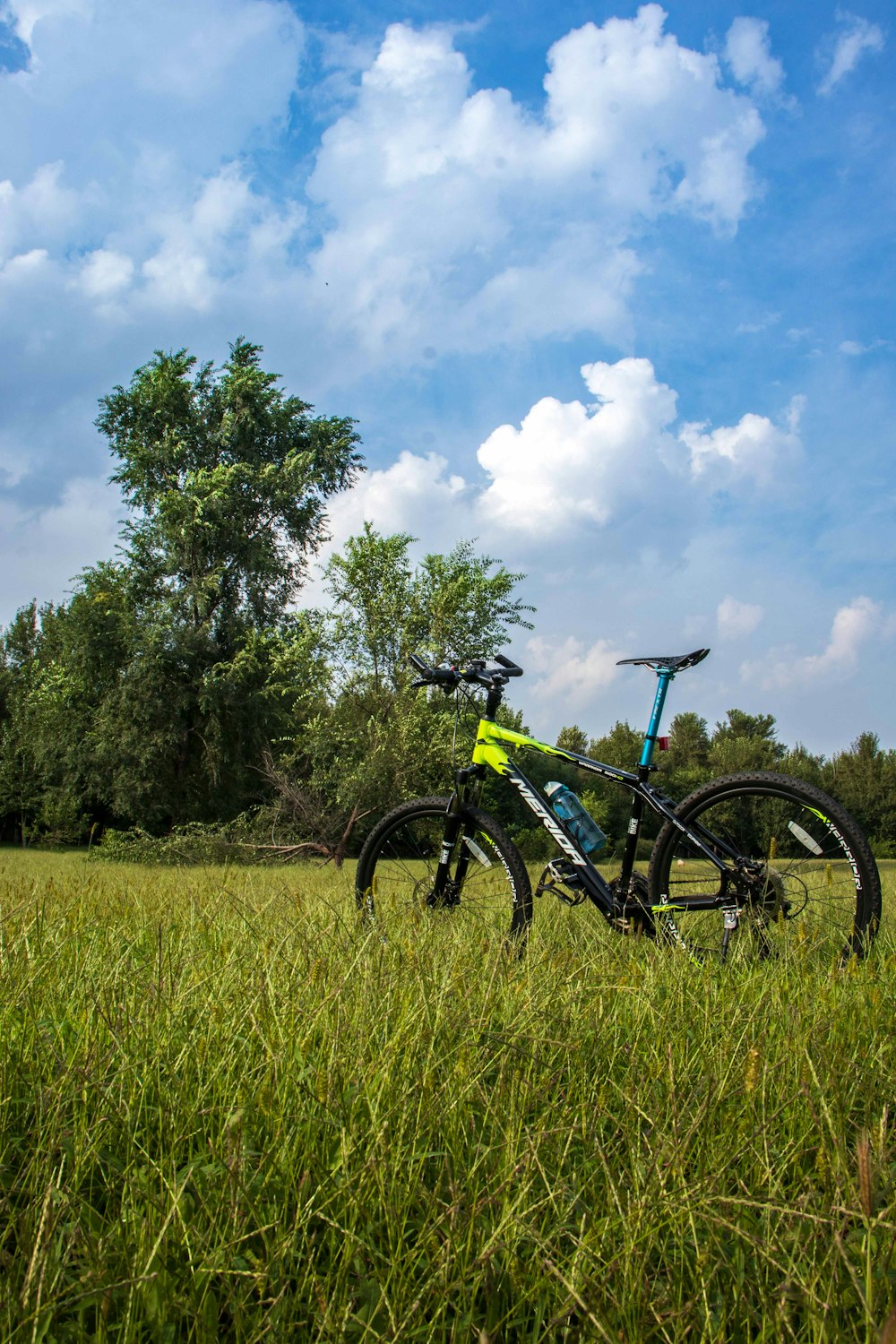 a bike parked in a field of tall grass