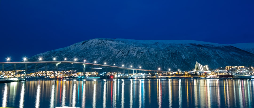 a night view of a city and a bridge over a body of water,
