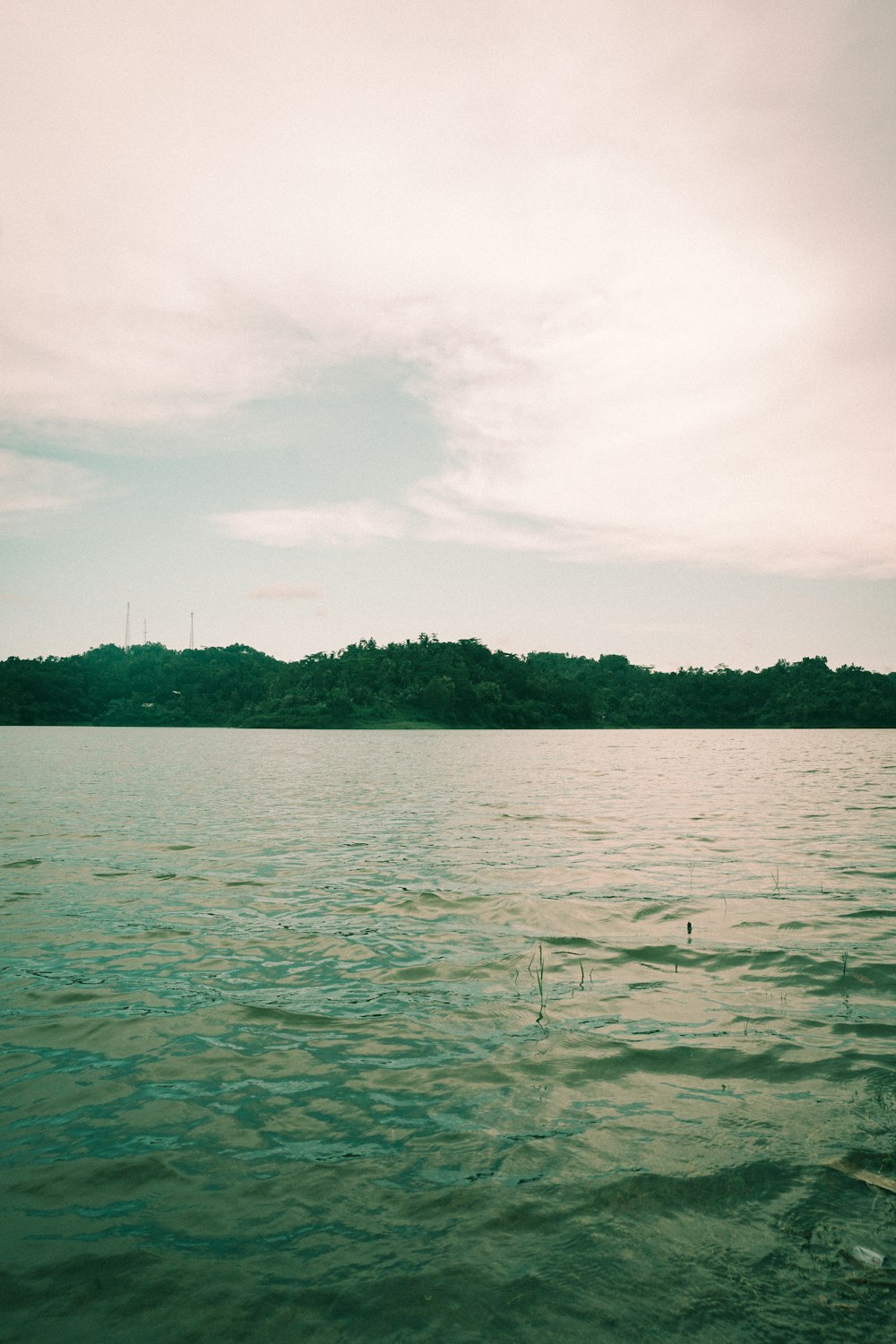 a body of water with trees in the background