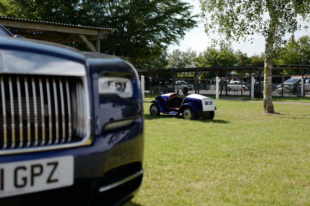 a blue car parked in the grass next to a tree