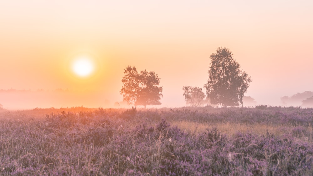 the sun is setting over a foggy field