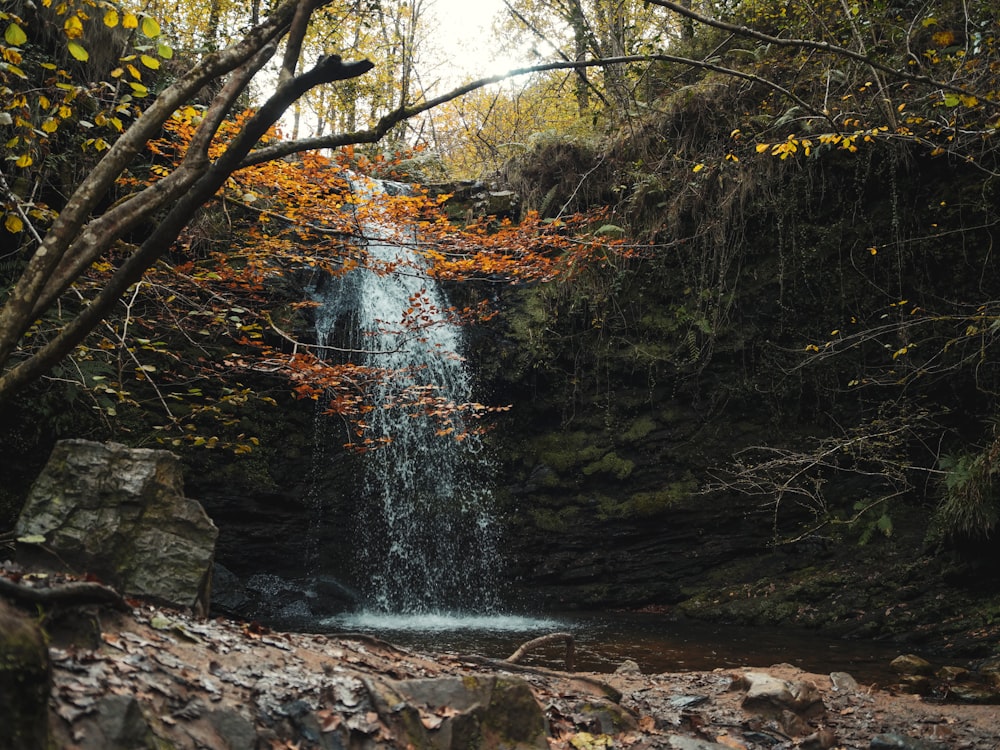 a waterfall in the middle of a forest