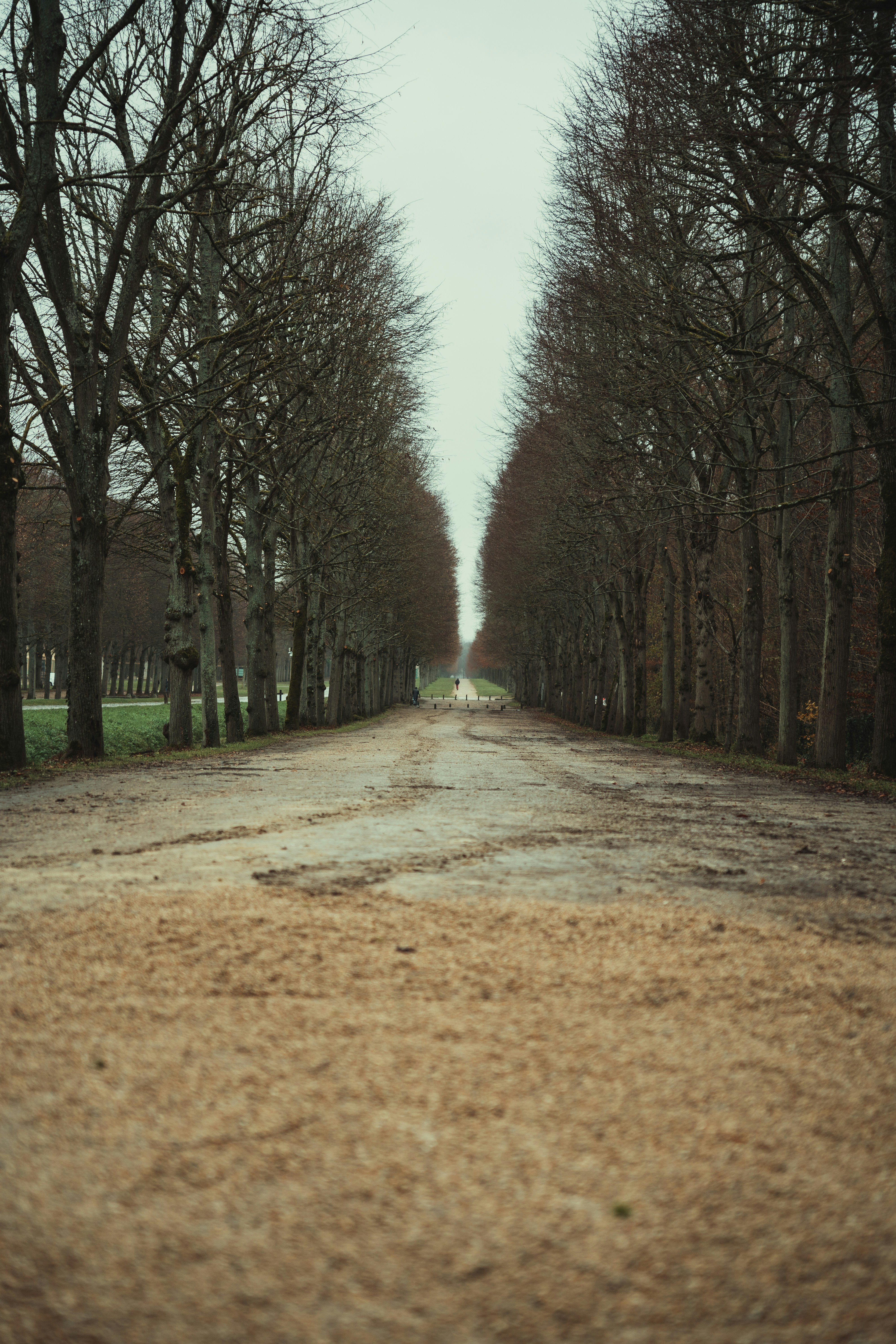 Photo by annahunko