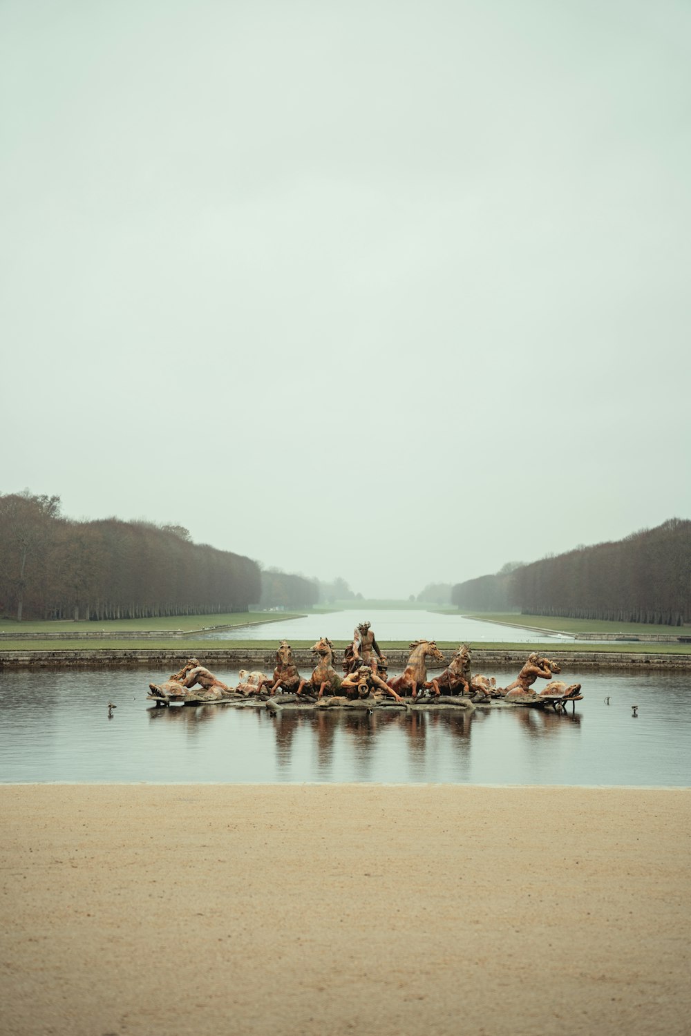 a group of logs sitting on top of a lake