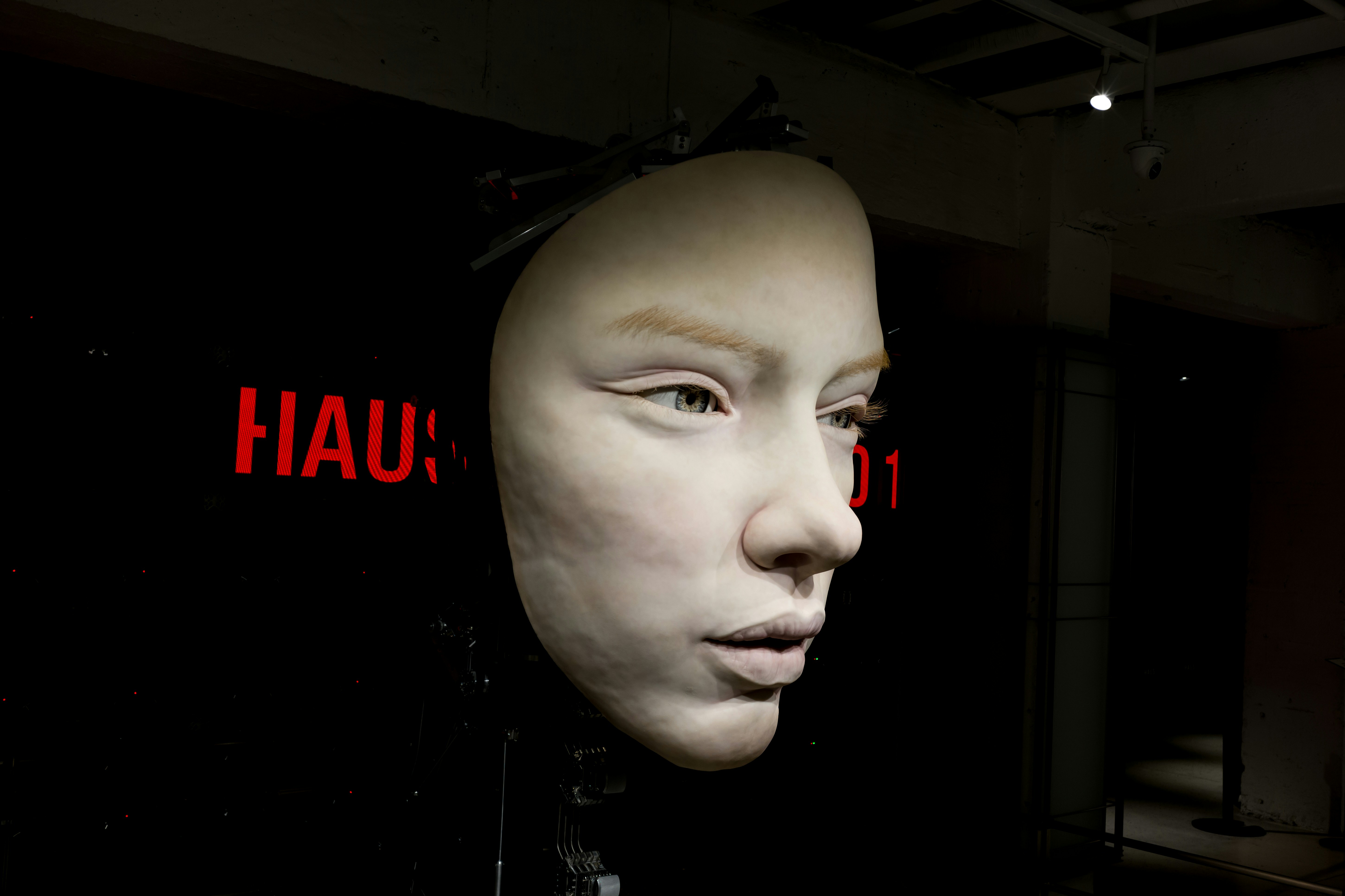 Branimo mannequin head in a dark room, showcasing product display for Branimo blog.