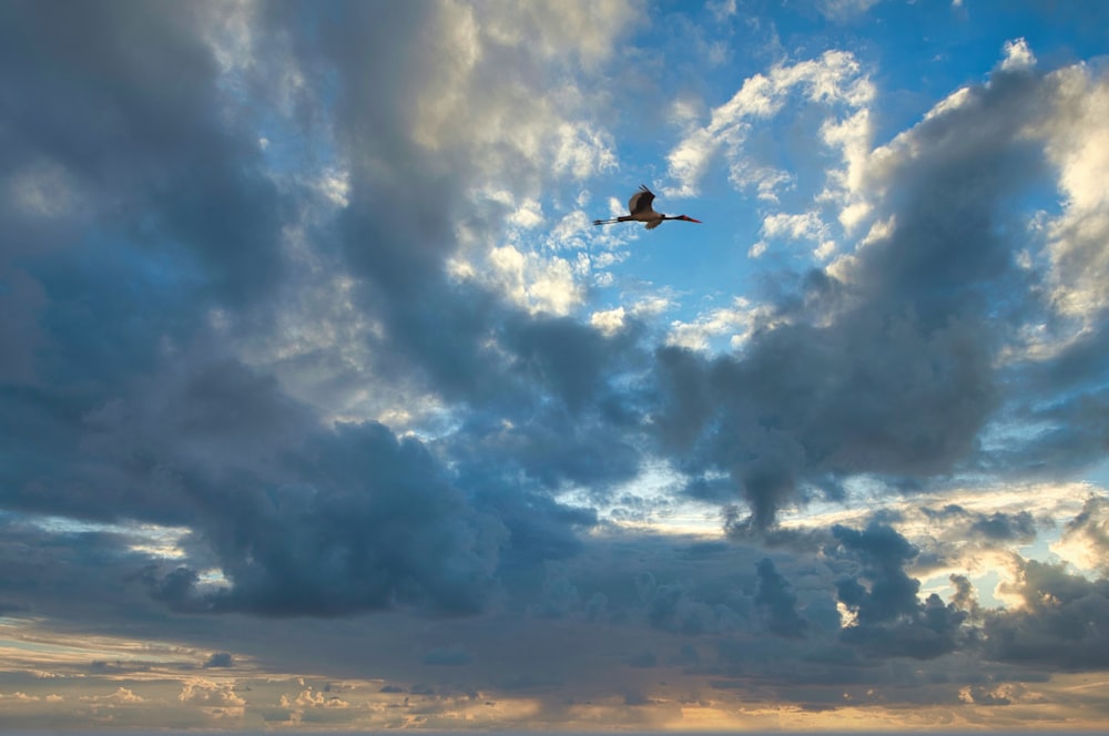 a plane flying through a cloudy blue sky