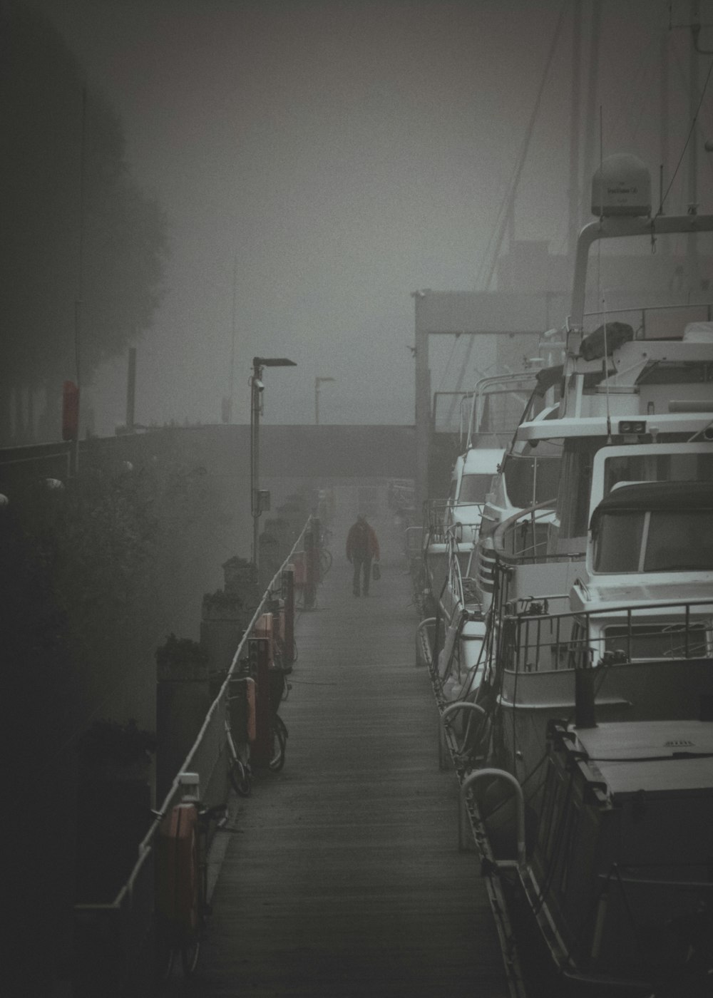 a foggy day at a marina with boats docked