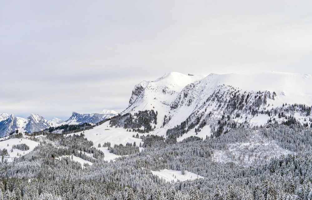 a snow covered mountain range with trees and mountains in the background