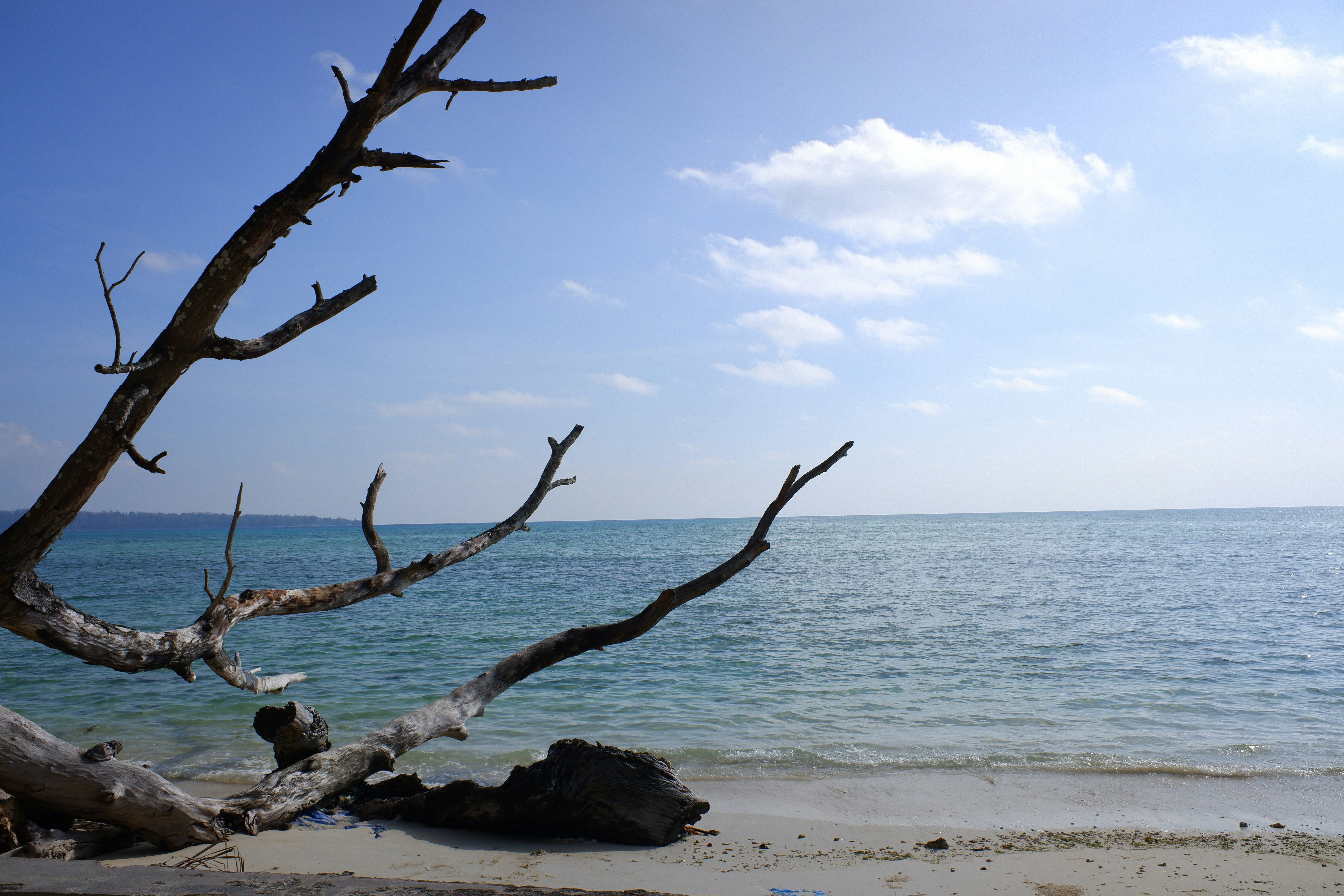 Photo by bholebababa