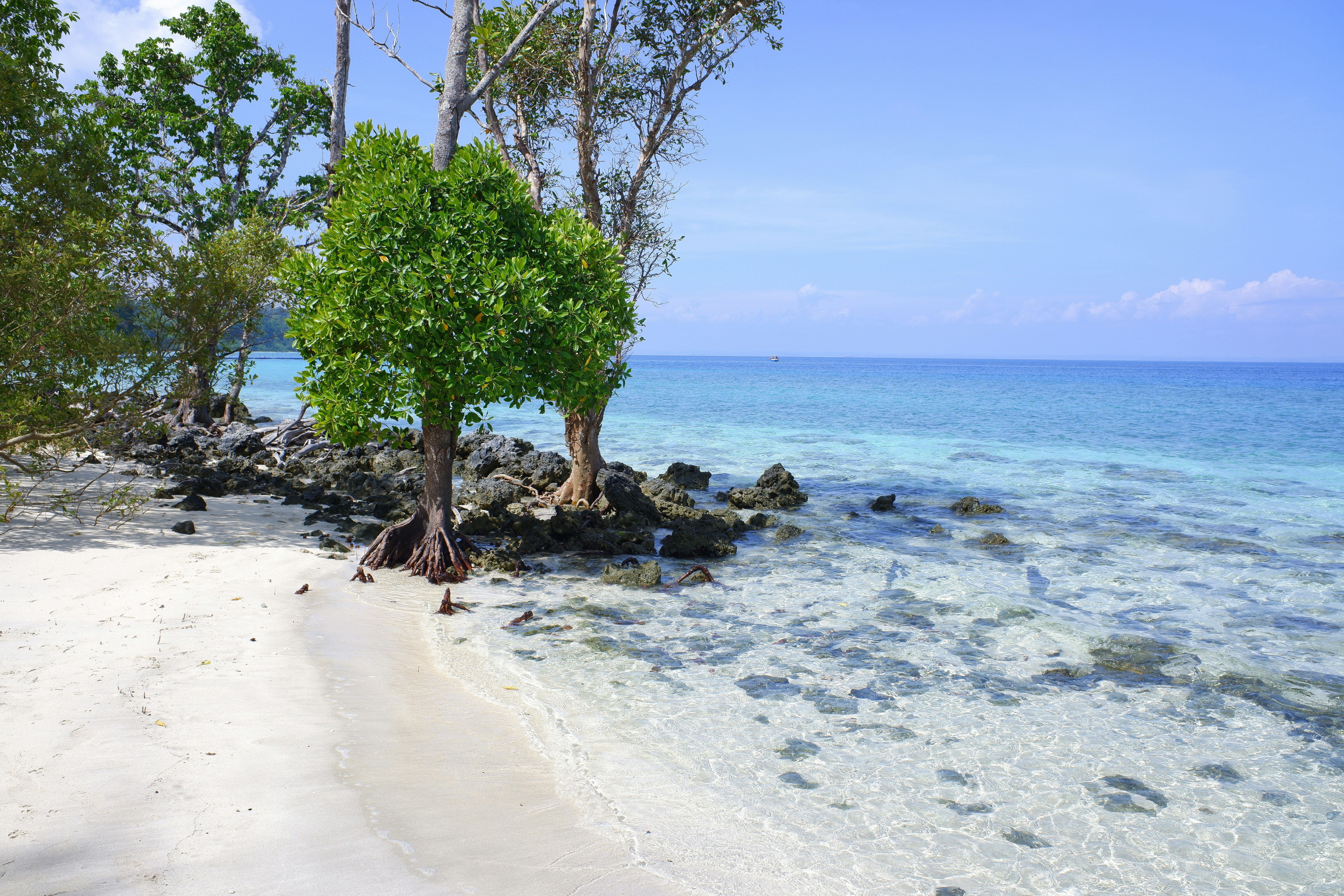 Photo by bholebababa