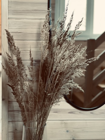 Rustic setting featuring pampas grass bunches tied with twine hanging on a wall