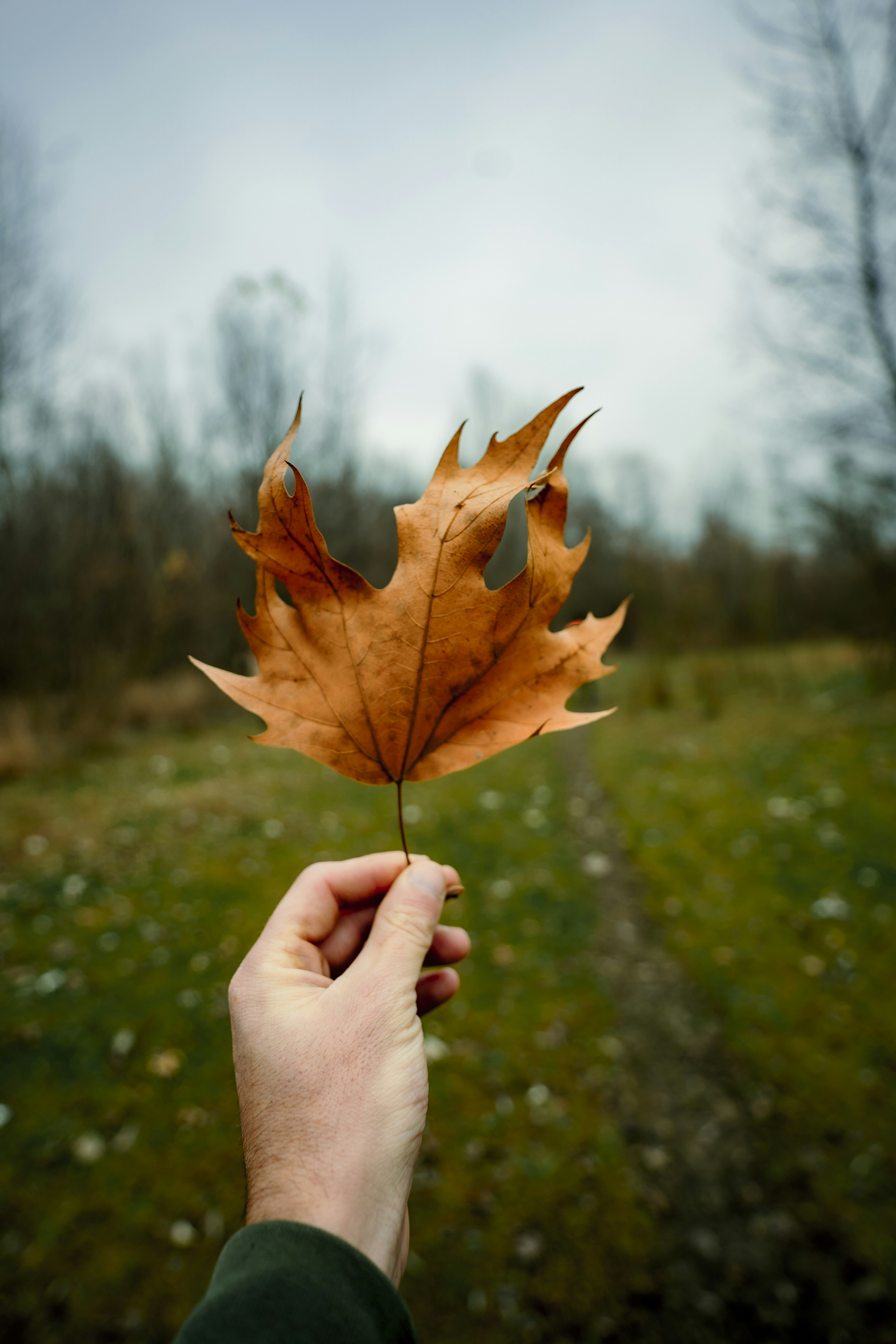 Photo by creative_films