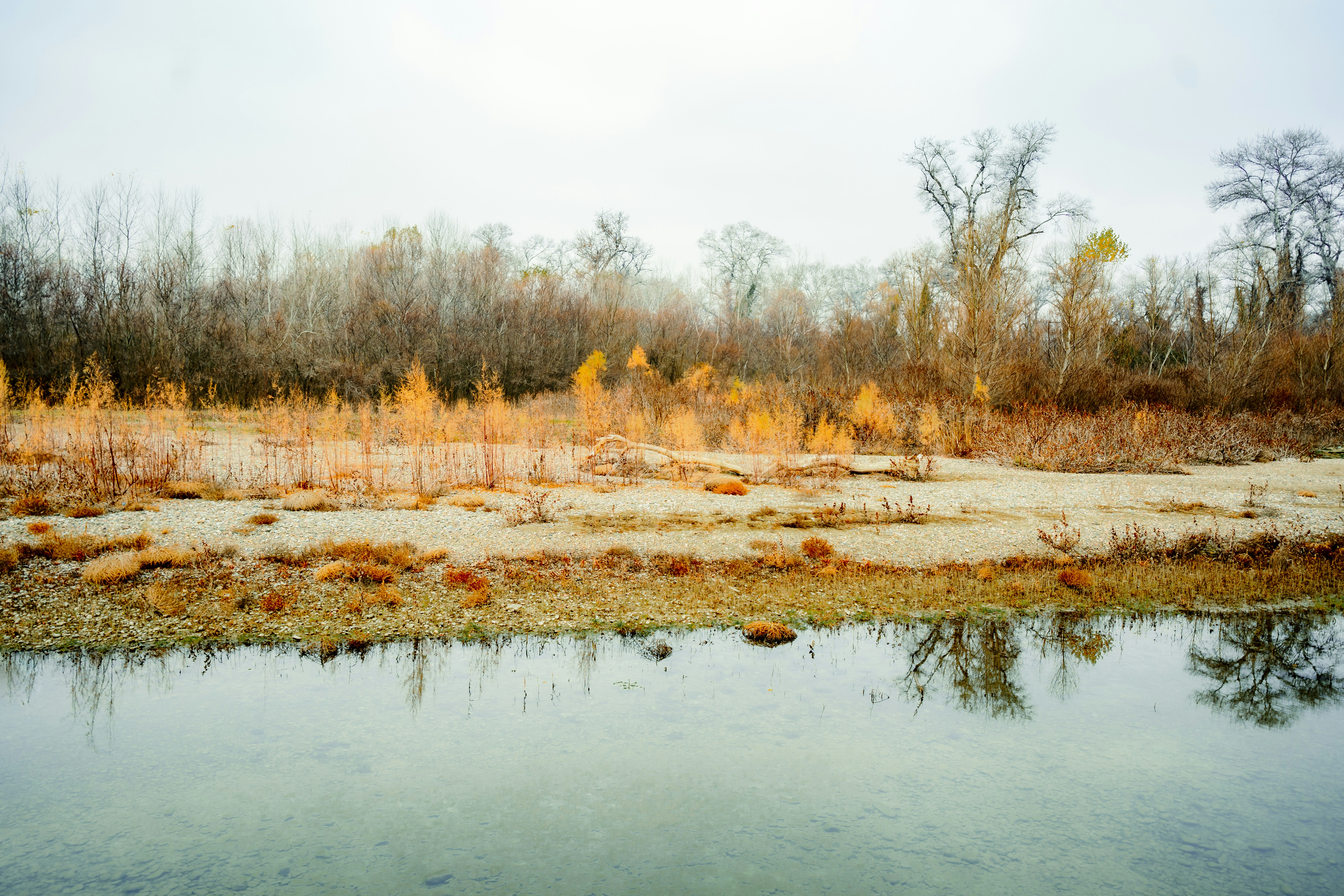 Photo by creative_films