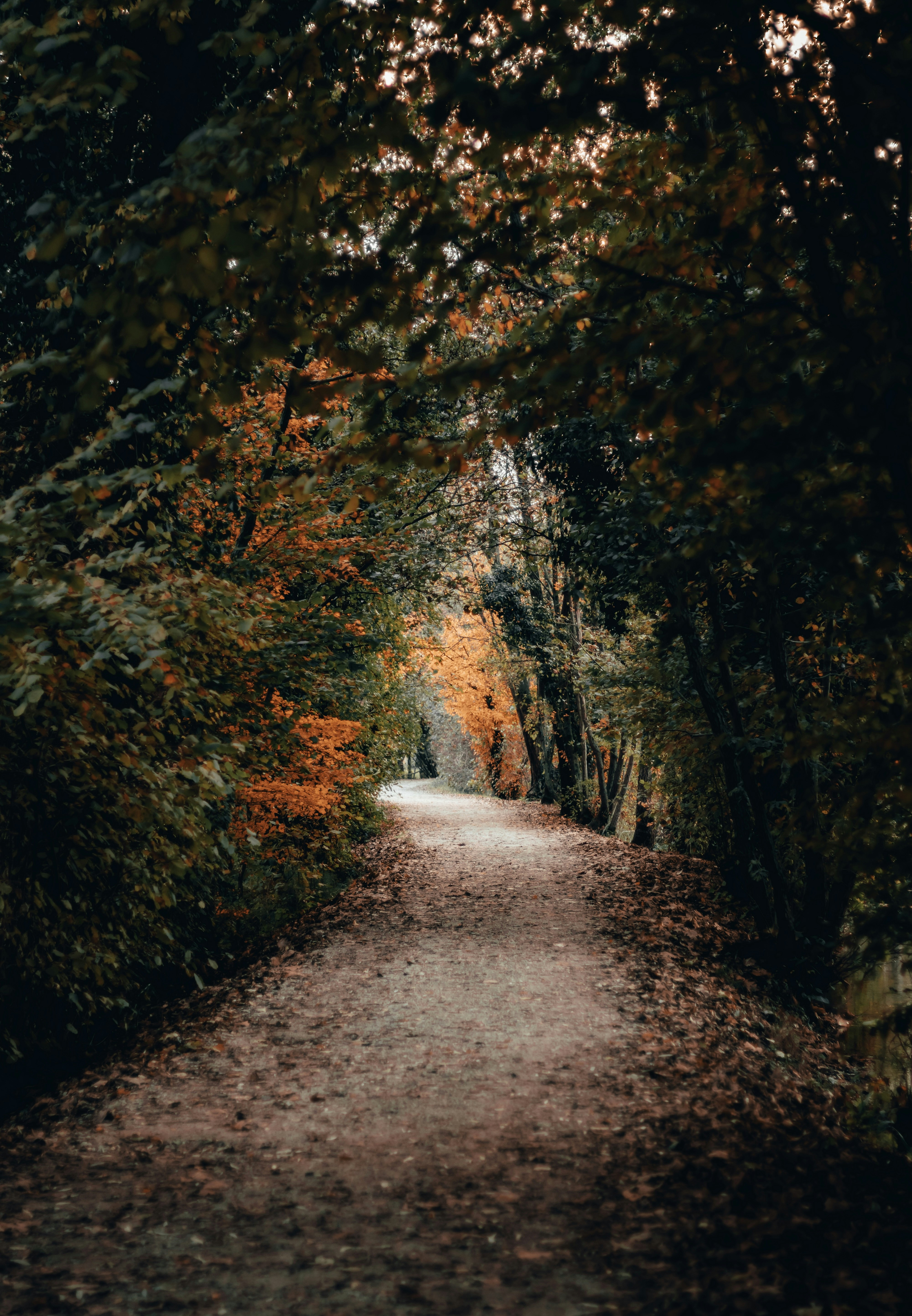 Photo by alphagraphy91