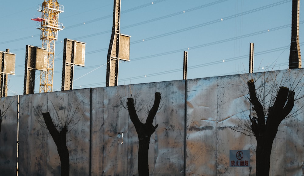 a wall that has some trees in front of it