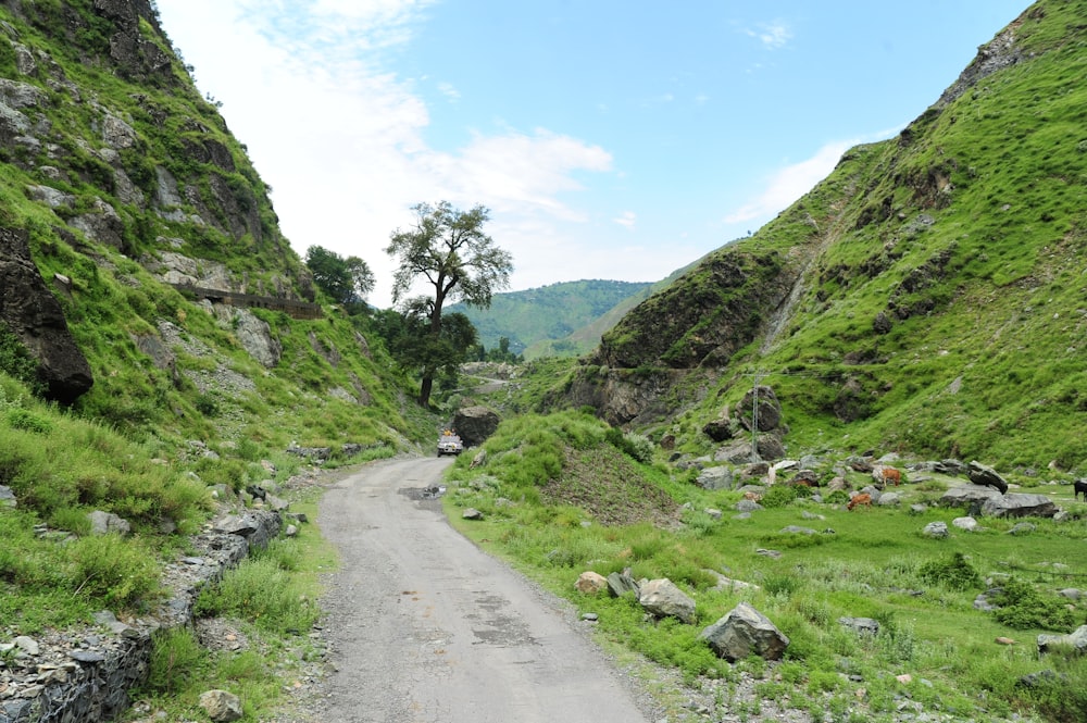 a dirt road surrounded by green hills and trees