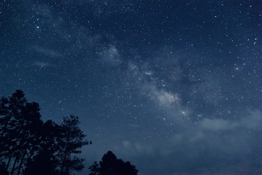 the night sky is filled with stars and trees