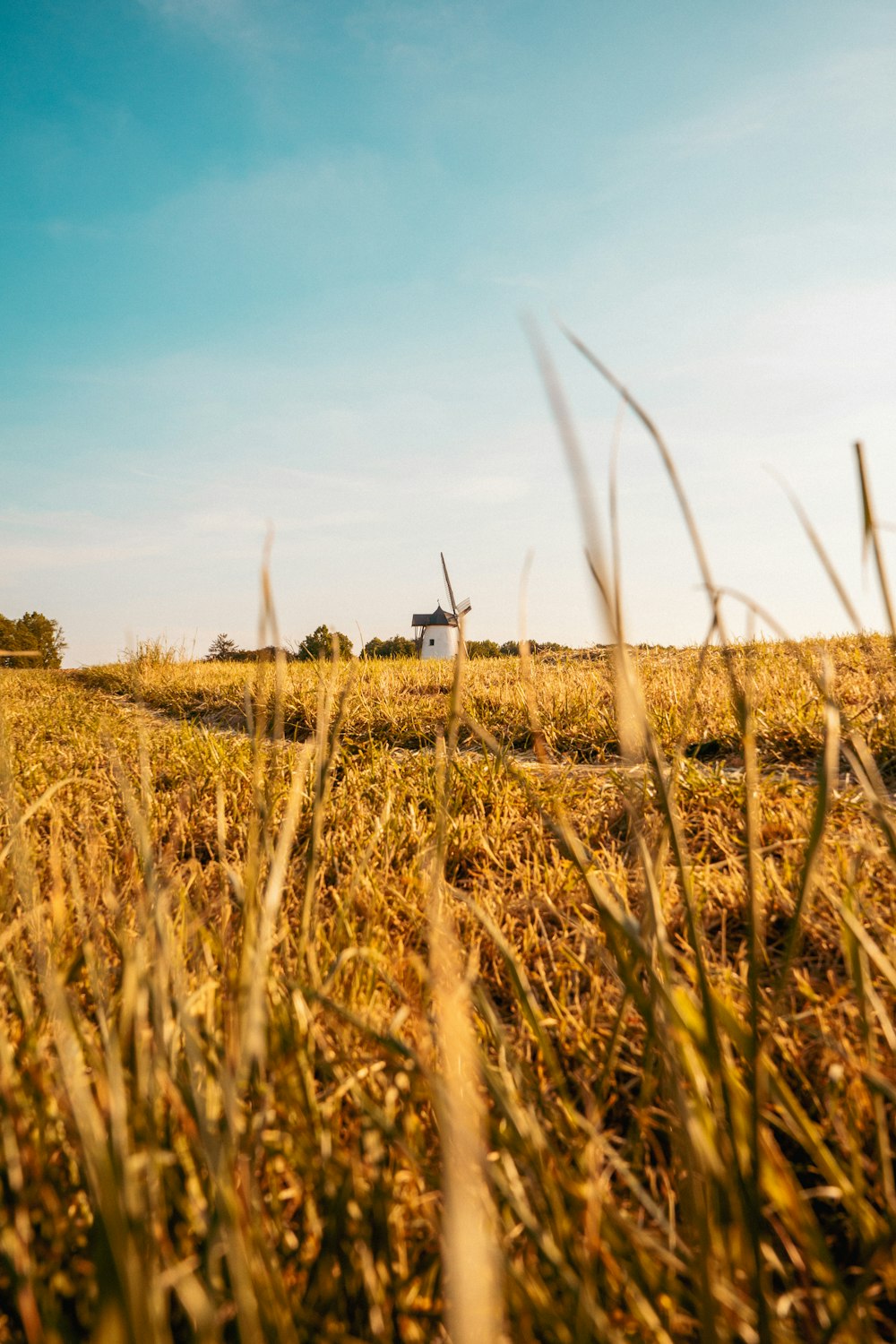 a grassy field with a windmill in the distance