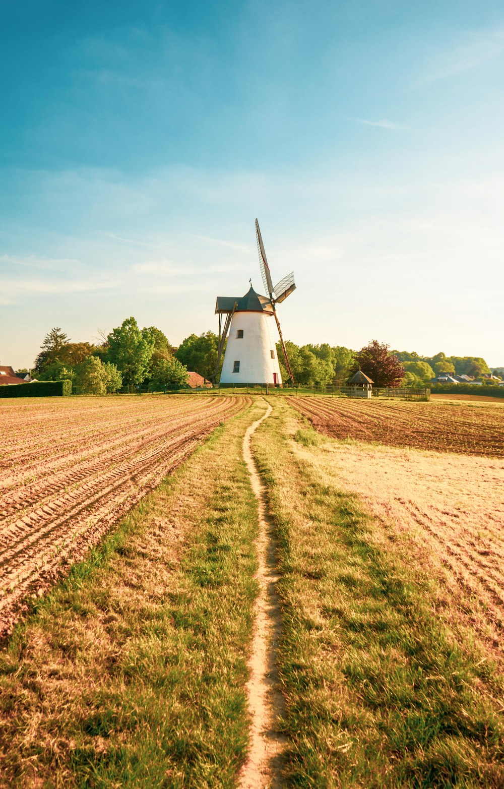 a windmill in the middle of a field