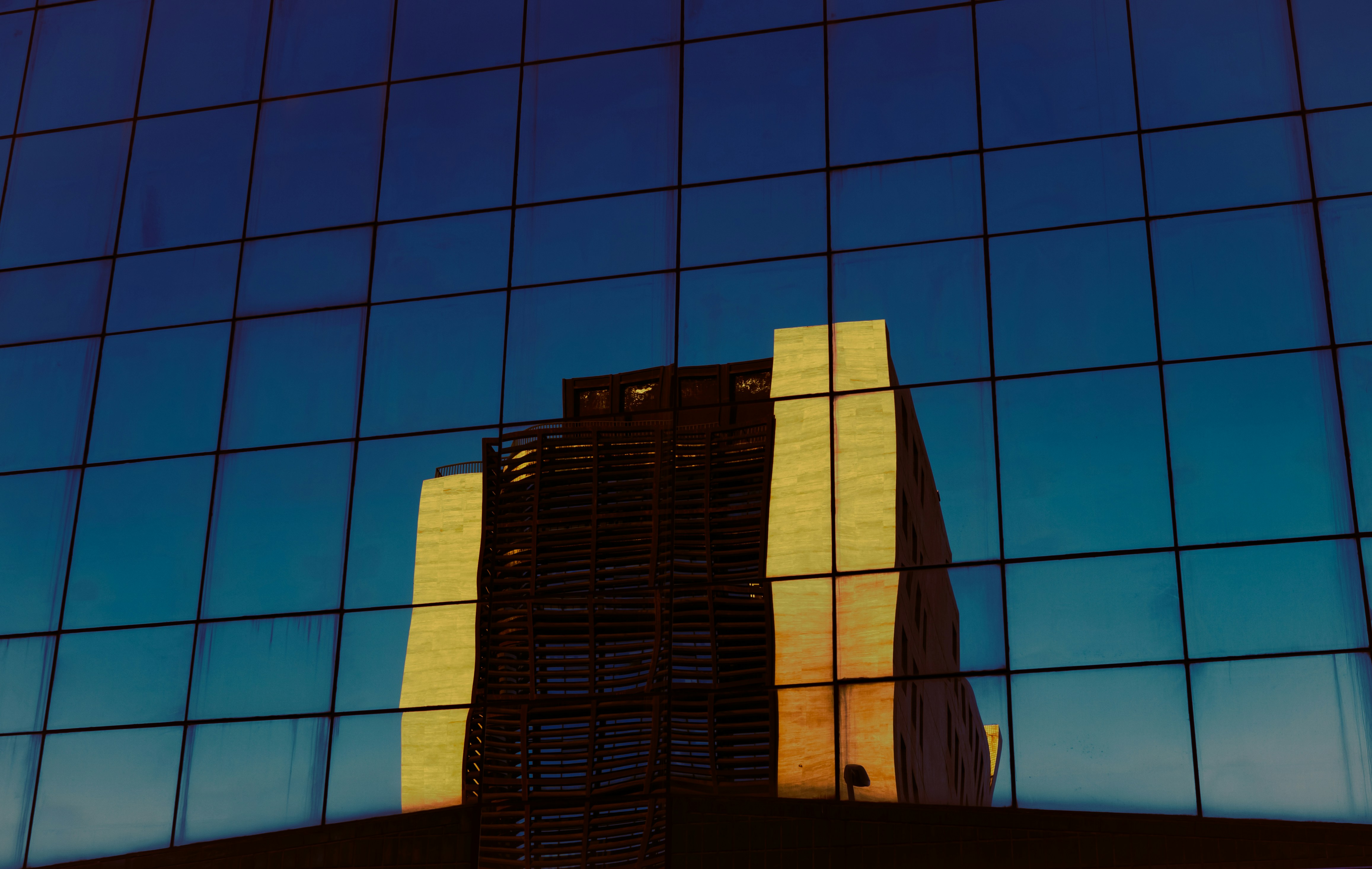 Photo by carmendis