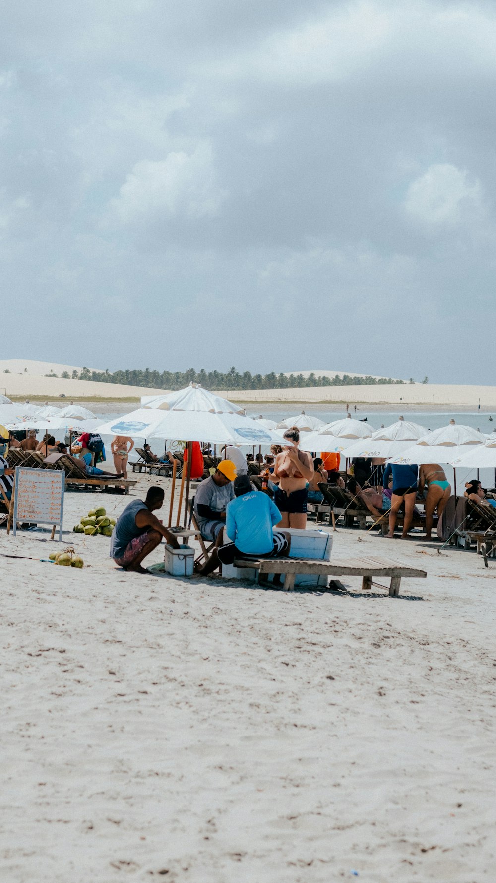 a group of people sitting on top of a sandy beach