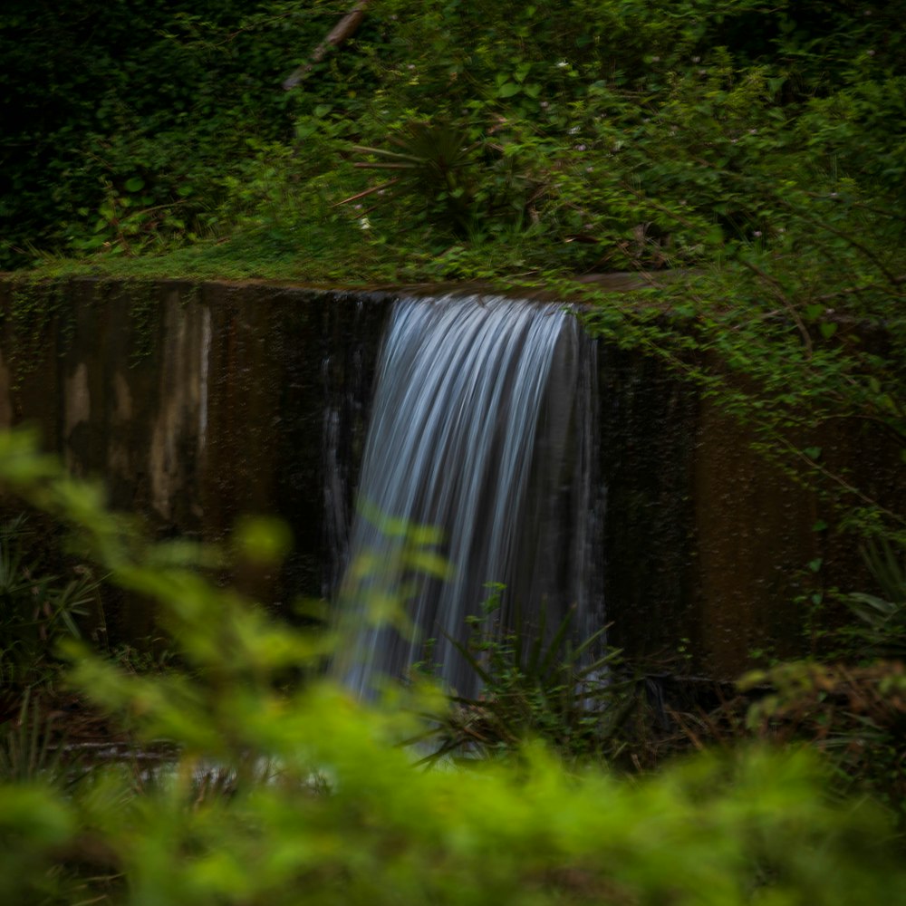 a small waterfall in the middle of a forest