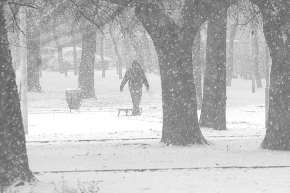 a person walking through a park in the snow