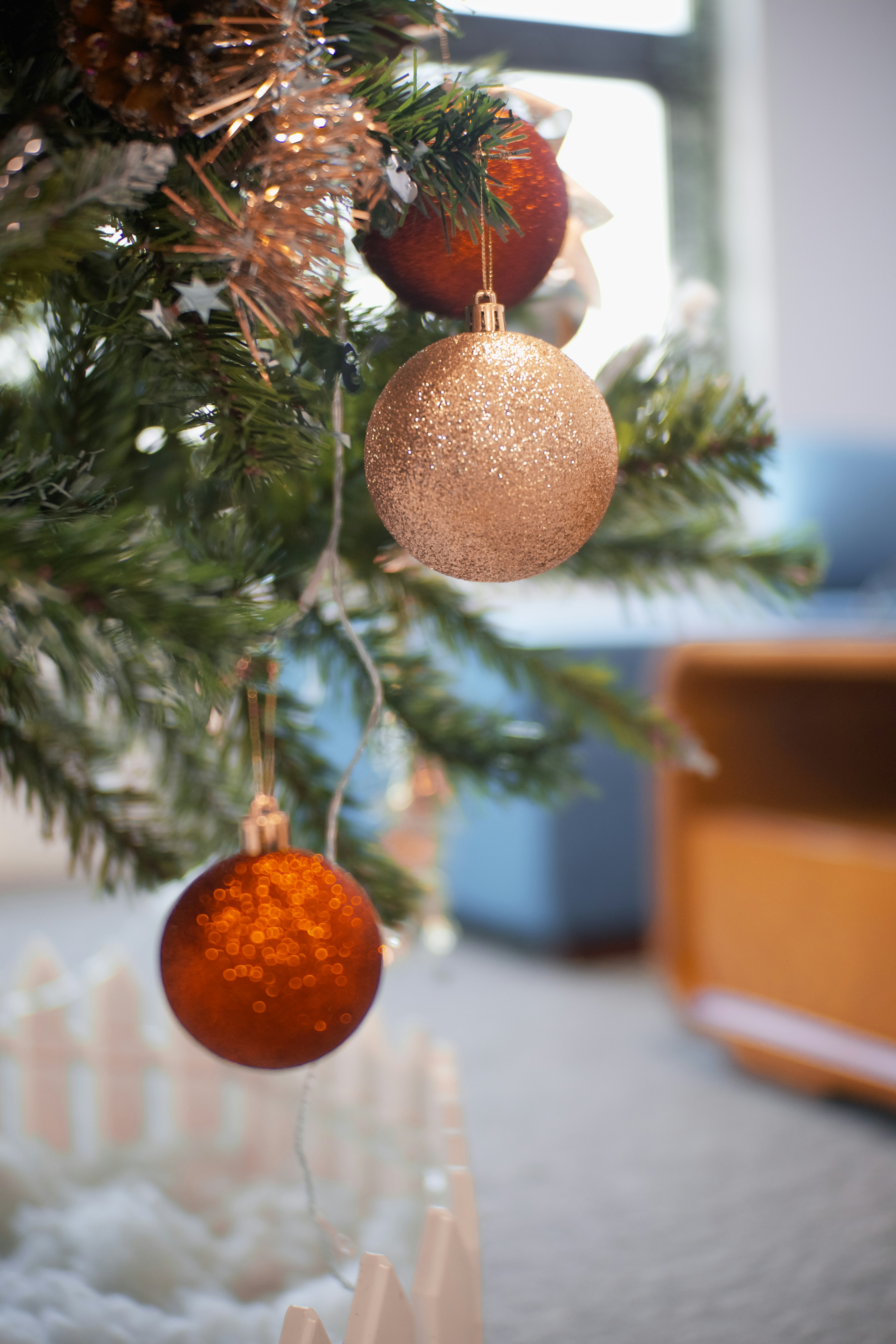 Photo by nguyentu20398