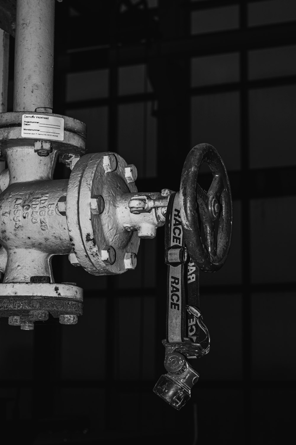 a black and white photo of a fire hydrant