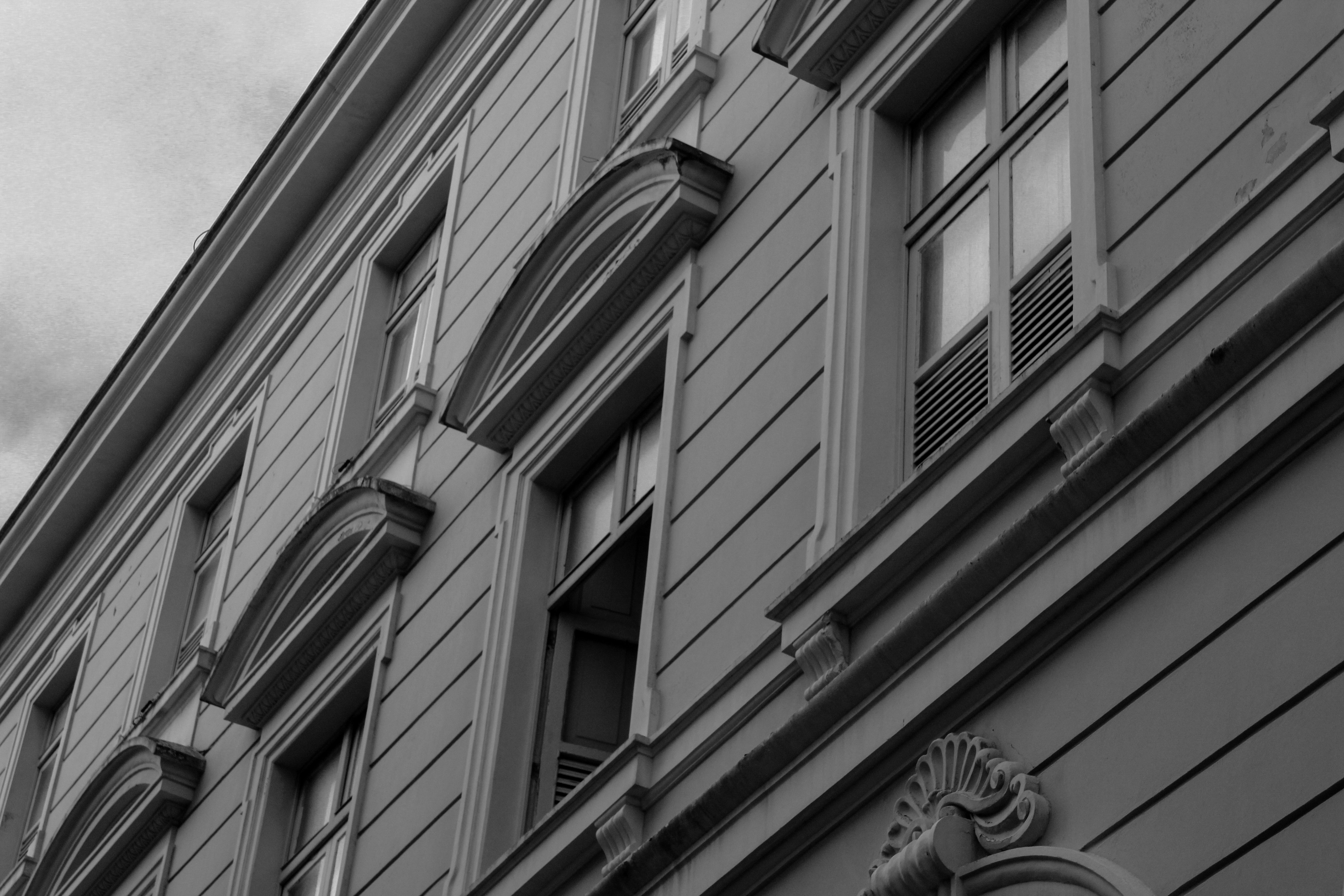 Photo by magalhaesalex