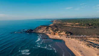 an aerial view of a sandy beach and ocean