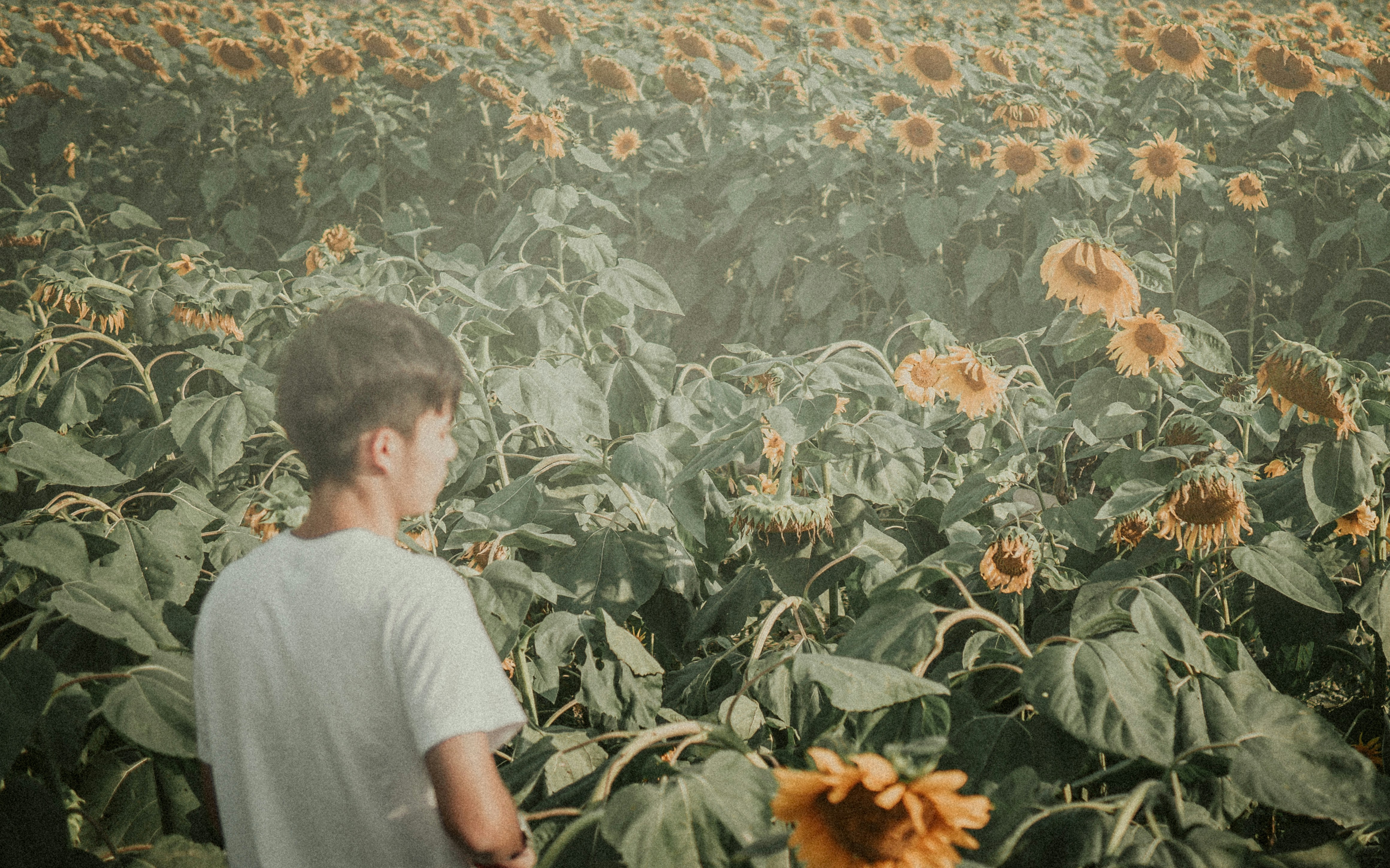 Photo by thecunyu7