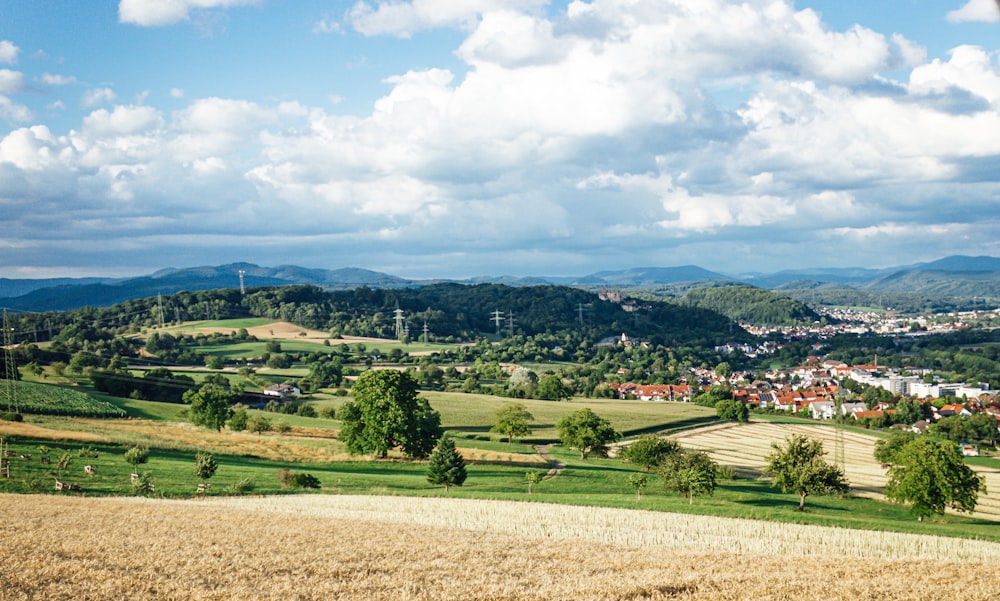 a scenic view of a town in the distance