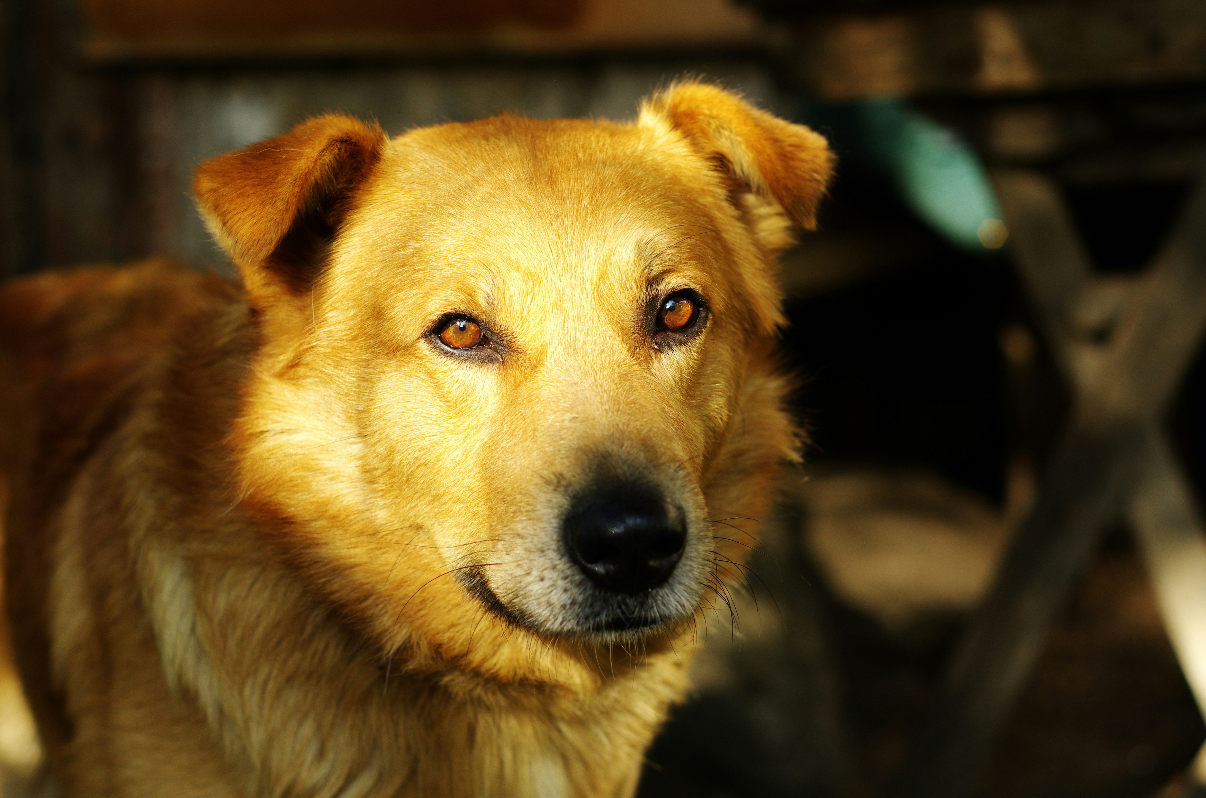 Photo by rado_stefanov