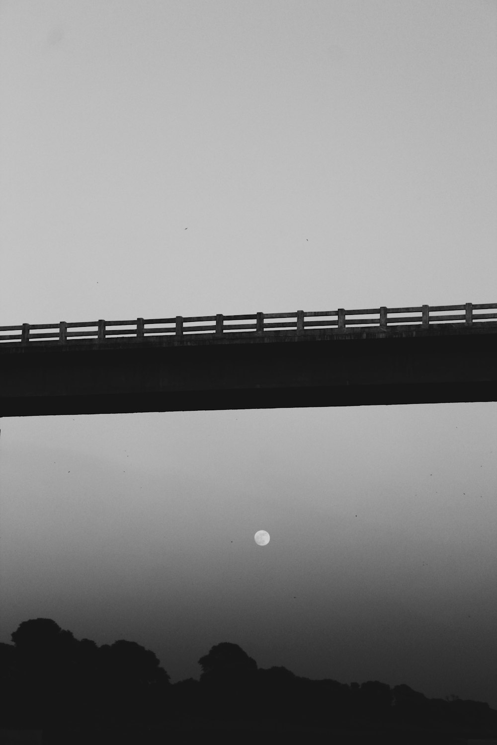 a black and white photo of a bridge