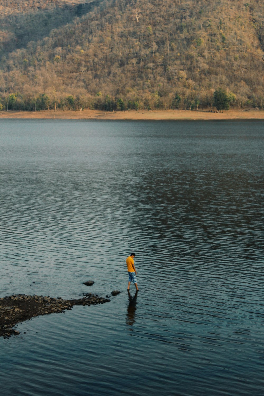 a lone bird standing in the middle of a lake