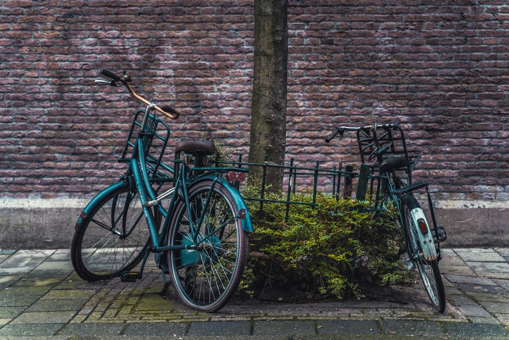 a blue bicycle parked next to a tree