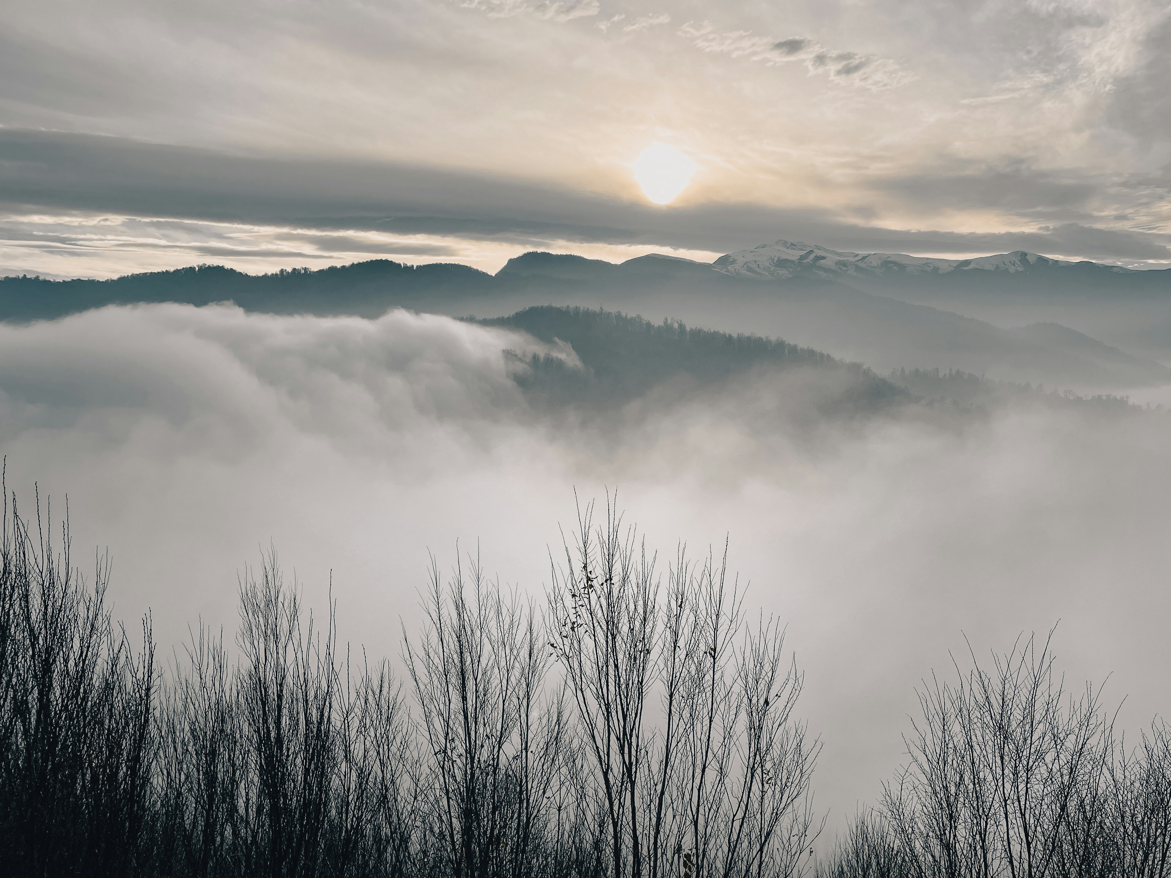 Photo by behy_studio