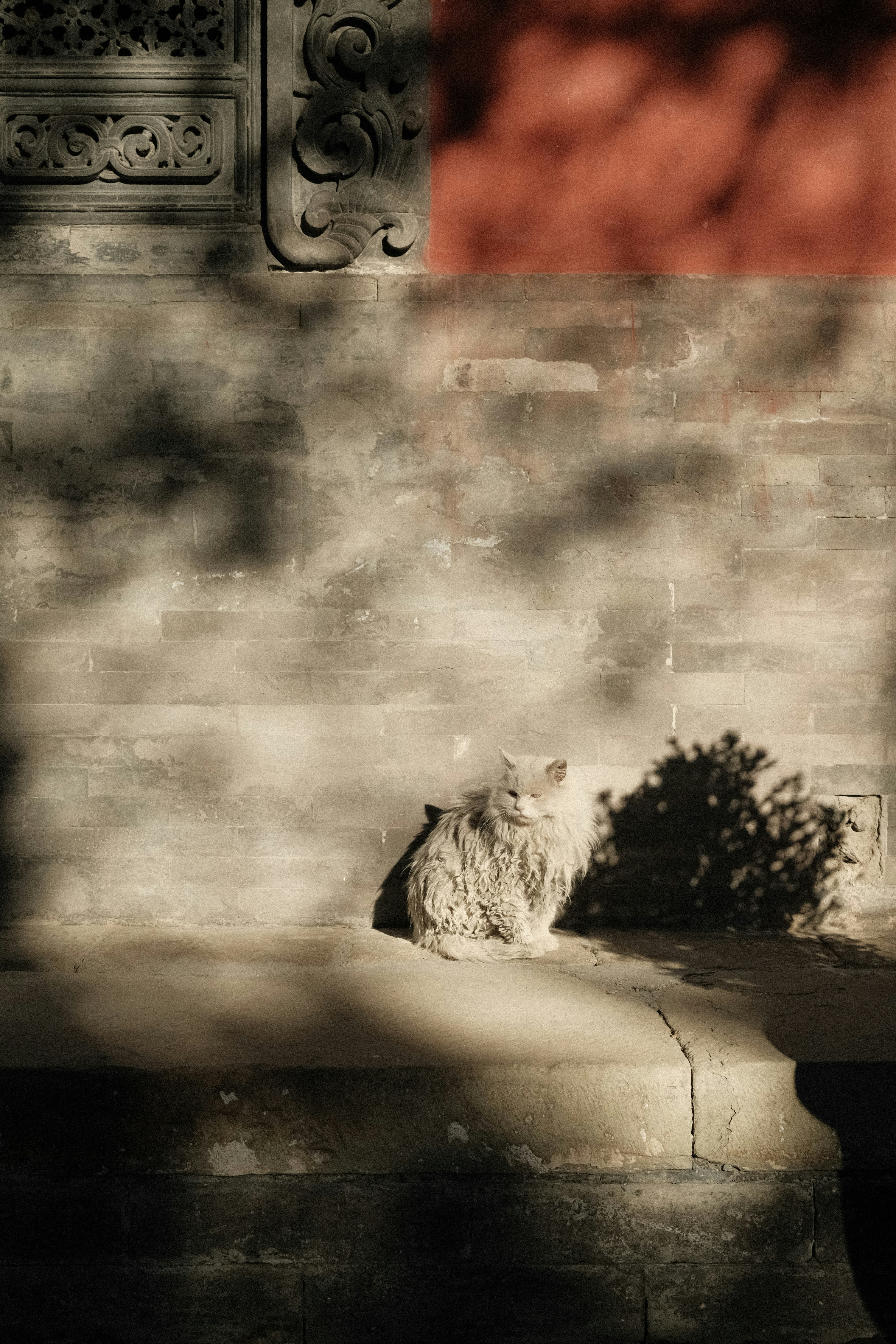 Photo by chriszhang0806