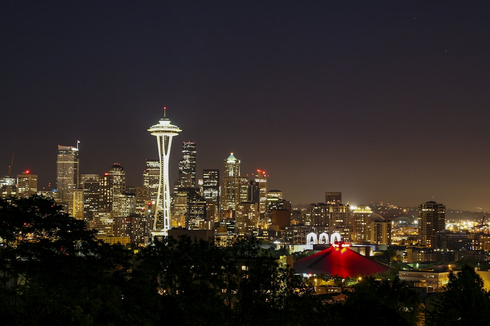 a view of a city skyline at night