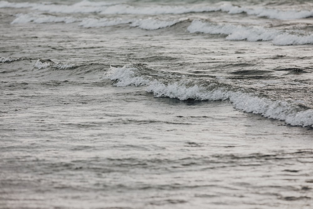 a bird standing on top of a wave in the ocean